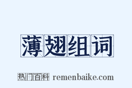 薄翅组词是什么意思的图片